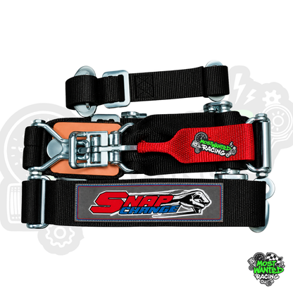 SFI Approved Safety Belts