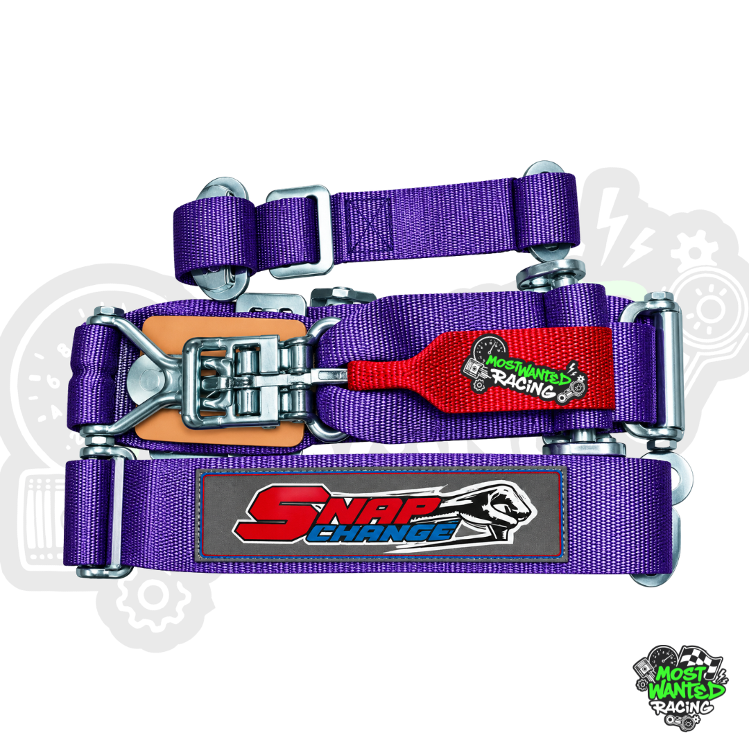 SFI Approved Safety Belts
